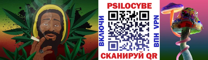 Галлюциногенные грибы Psilocybine cubensis  Калтан 
